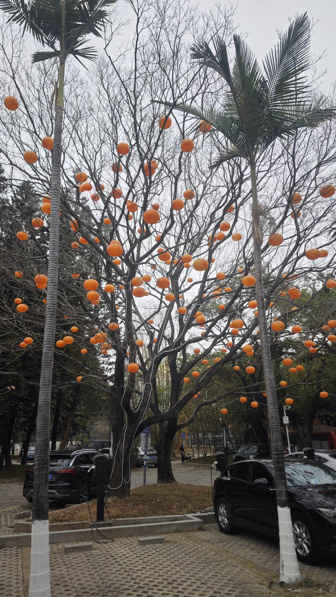 初一例行节目，南沙天后宫祈福。人好多，今年进去天后宫不是免票而是要买票了，好在价