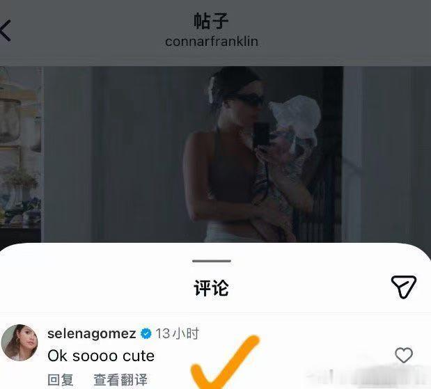 赛琳娜在霉霉婚礼上冲浪赛琳娜在霉霉婚礼上冲浪！ 