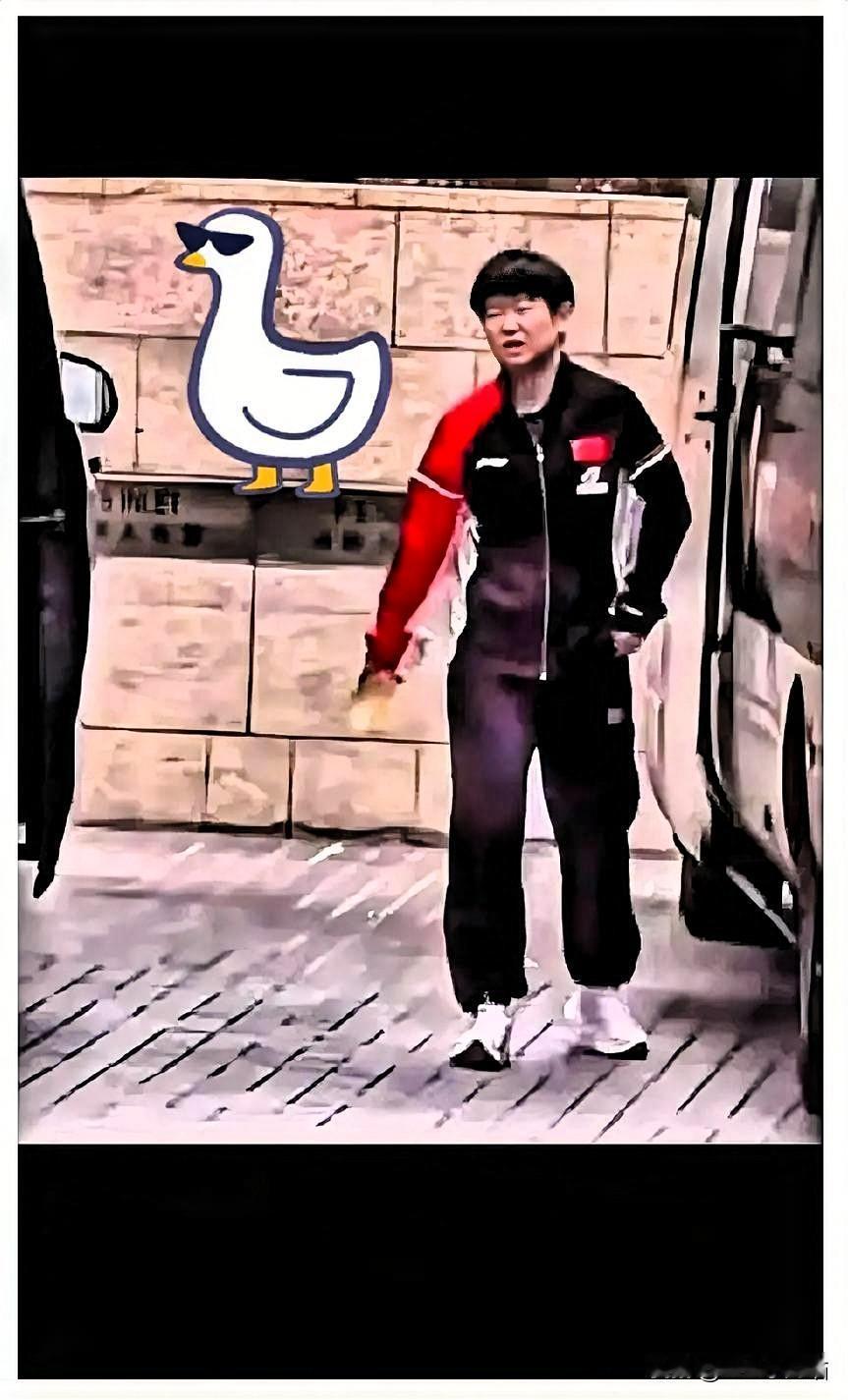 这事儿恐怕没那么简单。

莎莎退赛，绝不只是脚疼。下午看她走路都一瘸一拐的了，上