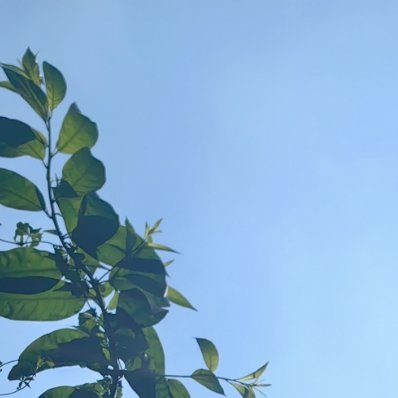 每日一善 生活的美好在于它的丰富多彩，要使自己的生活变得有趣就要不断地充实自己。