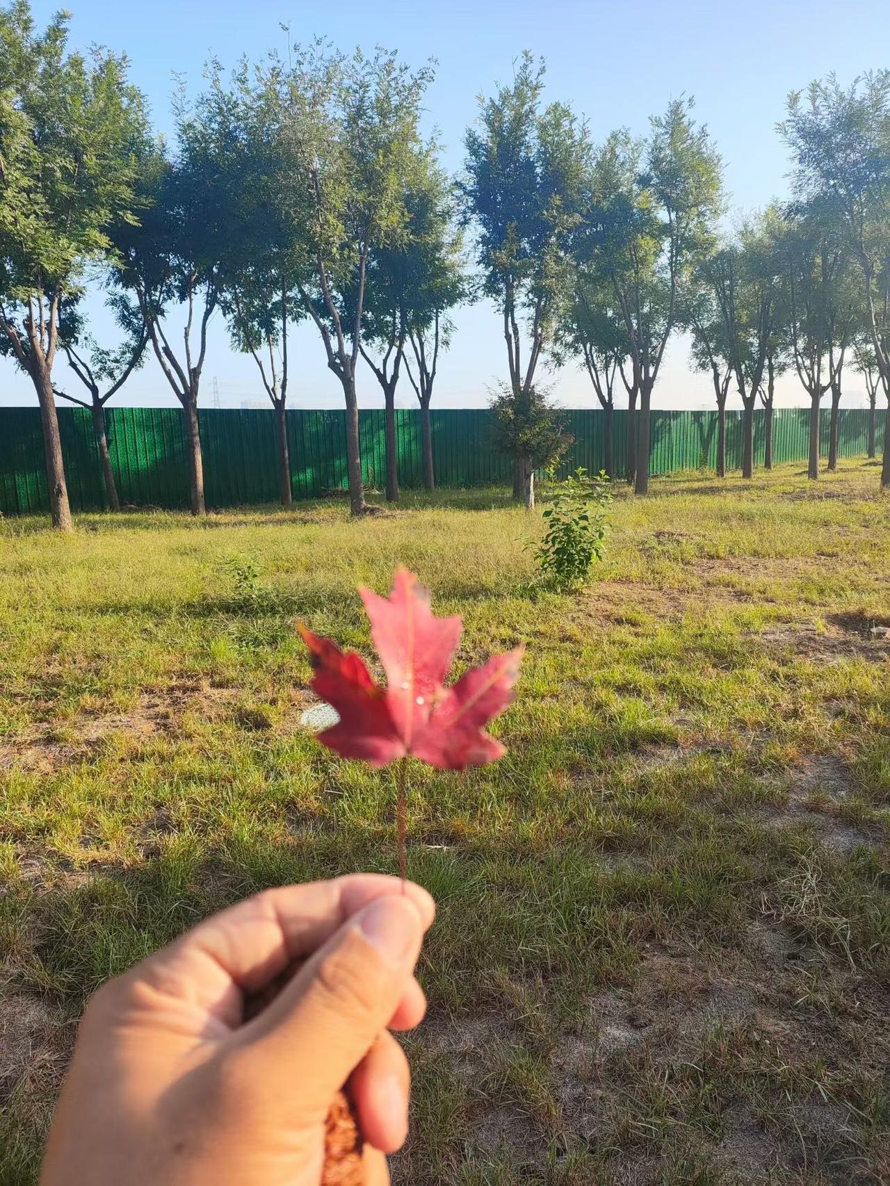 一个人越活越通透的八种迹象，你中了几个？

一、把原生家庭的痛放下，是和解——不