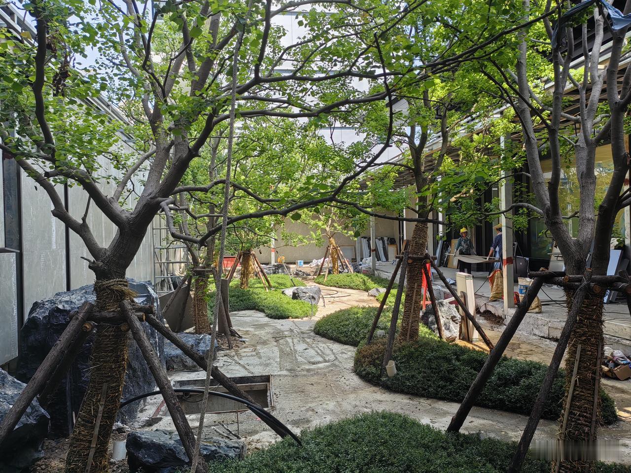 城中景观池喷泉绿植人工打造的山水花园，风景如画，值得一看！