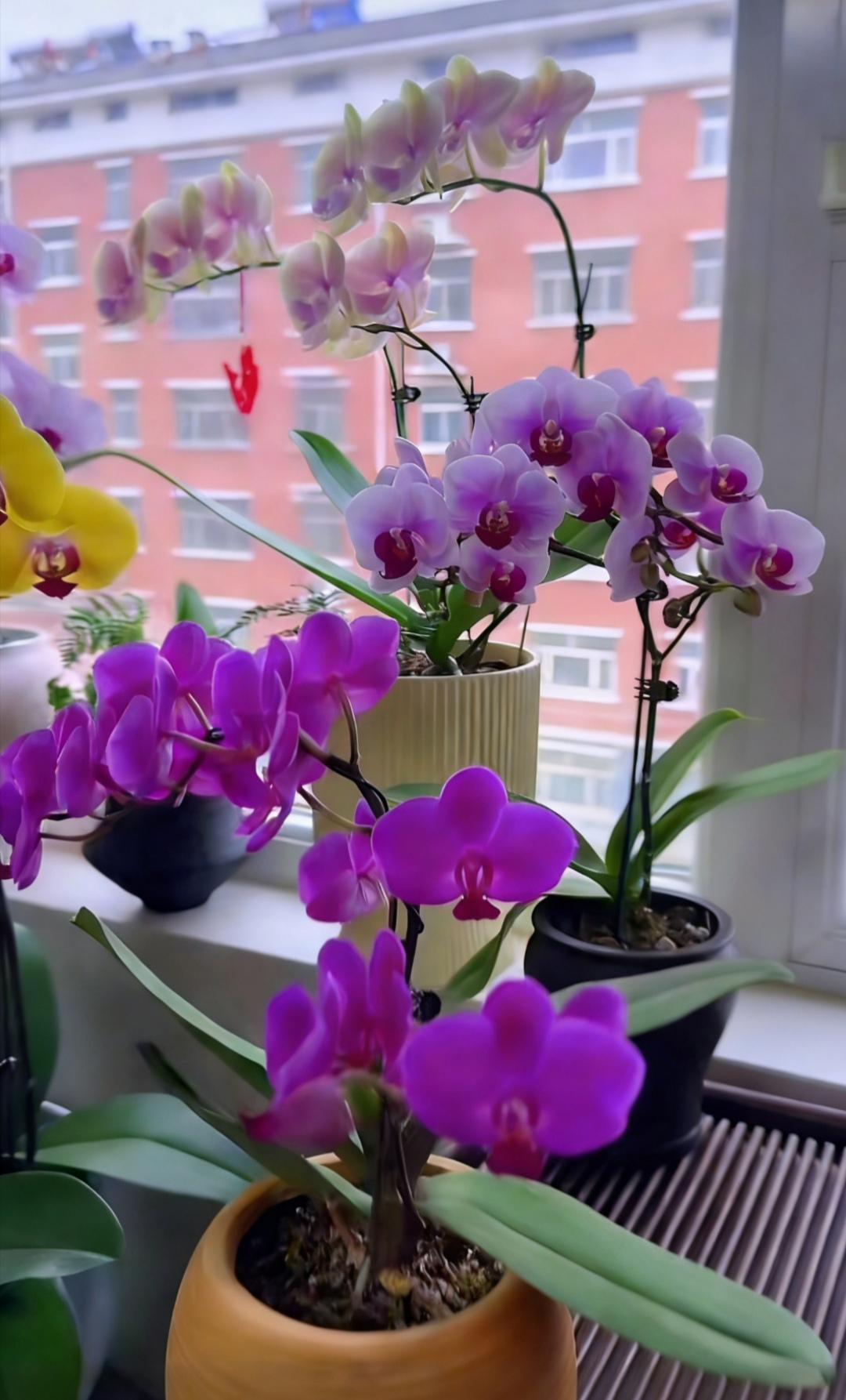 分享一张最近随手拍的照片