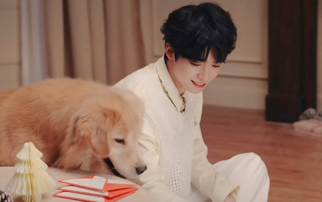 小梓渝也太可爱啦，萌萌的很安心！小狗狗小猫咪也都很可爱！ 