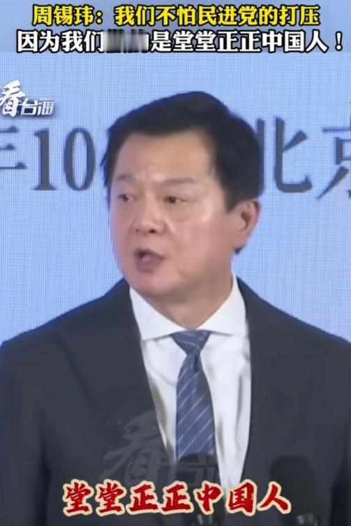 台湾旺旺集团副董事长周锡玮2024年公开强调：他郑重重申自己的立场，台湾人就是中