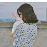 芝麻说说法律