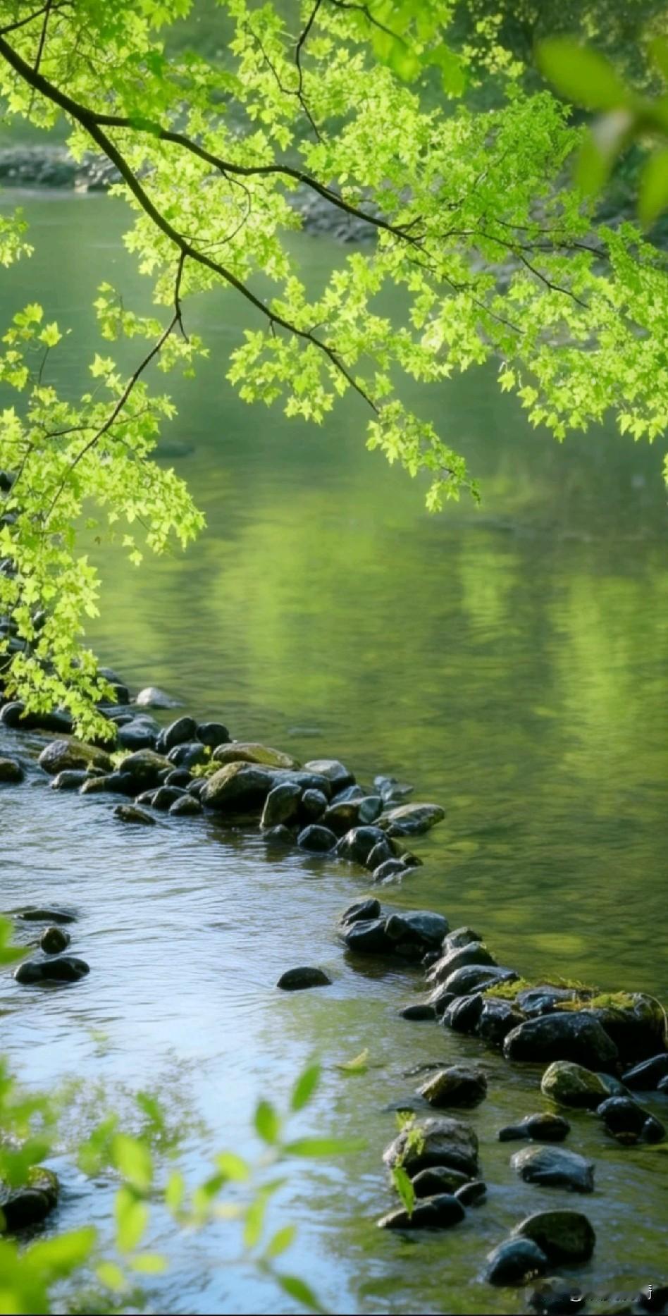 《守拙归园田，草木养静心》

多识草木，少识人；常守世间，清净心。
无声听雨，寂