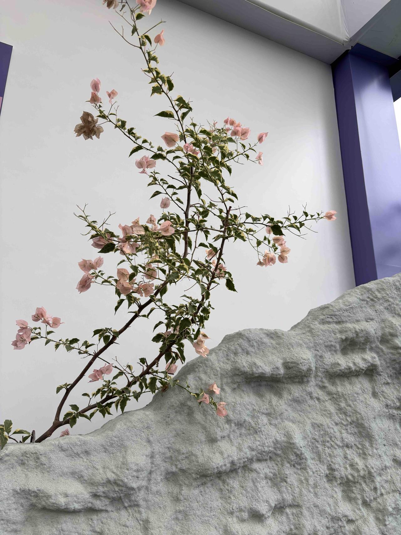 要当老师也还得要靠运气，早生几年基本上就可以当上，晚生几年就难以上青天！最近江西