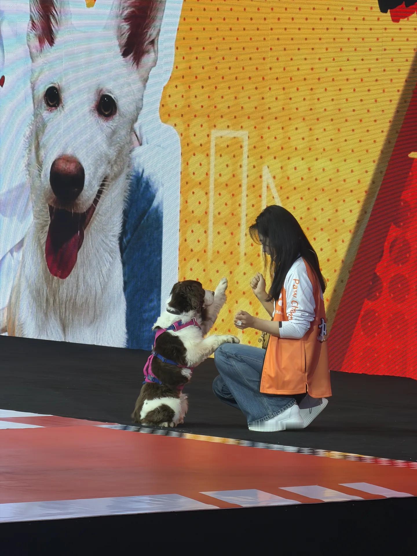 这个live的静止封面更有感觉查理真的越看越可爱！像是在跟刘涛石头剪刀布一样！ 
