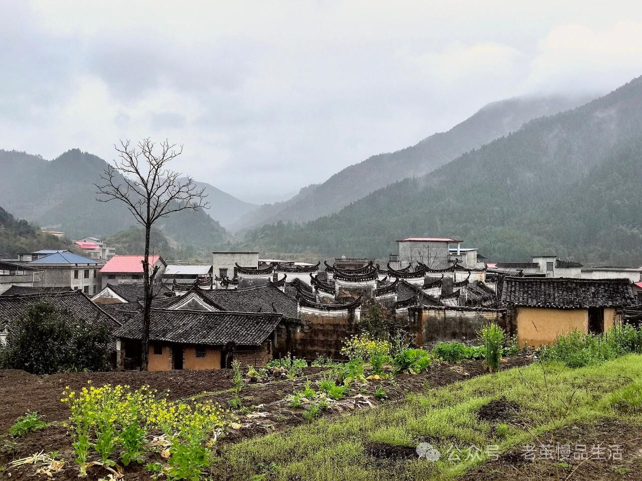 金字经·烟雨古村 
雾锁青山远，
雨敲檐角寒。
黛瓦凝烟岁月残。
看，古村凝泪斑