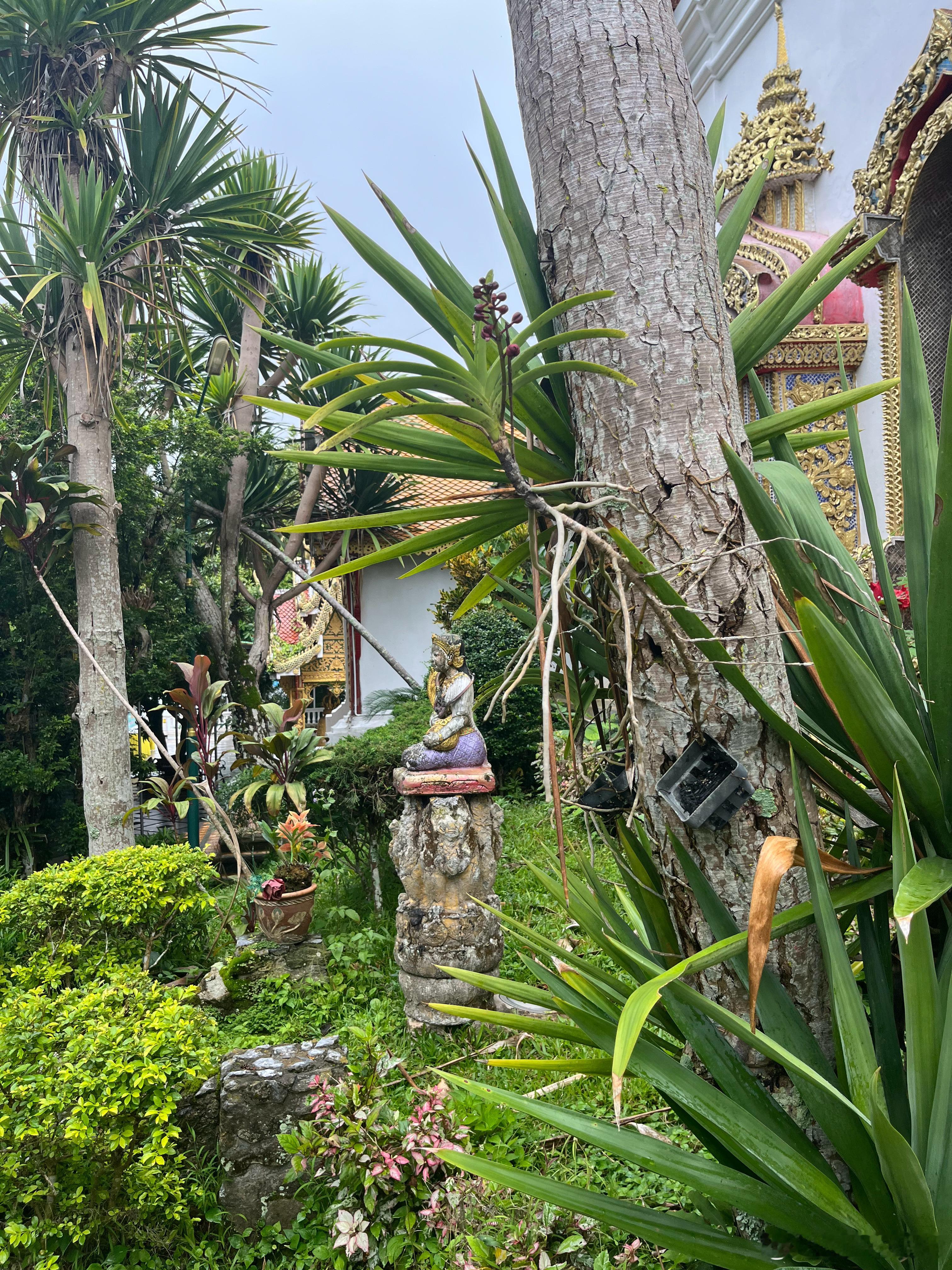 清迈的素贴山双龙寺。也是个很有名的打卡地。 