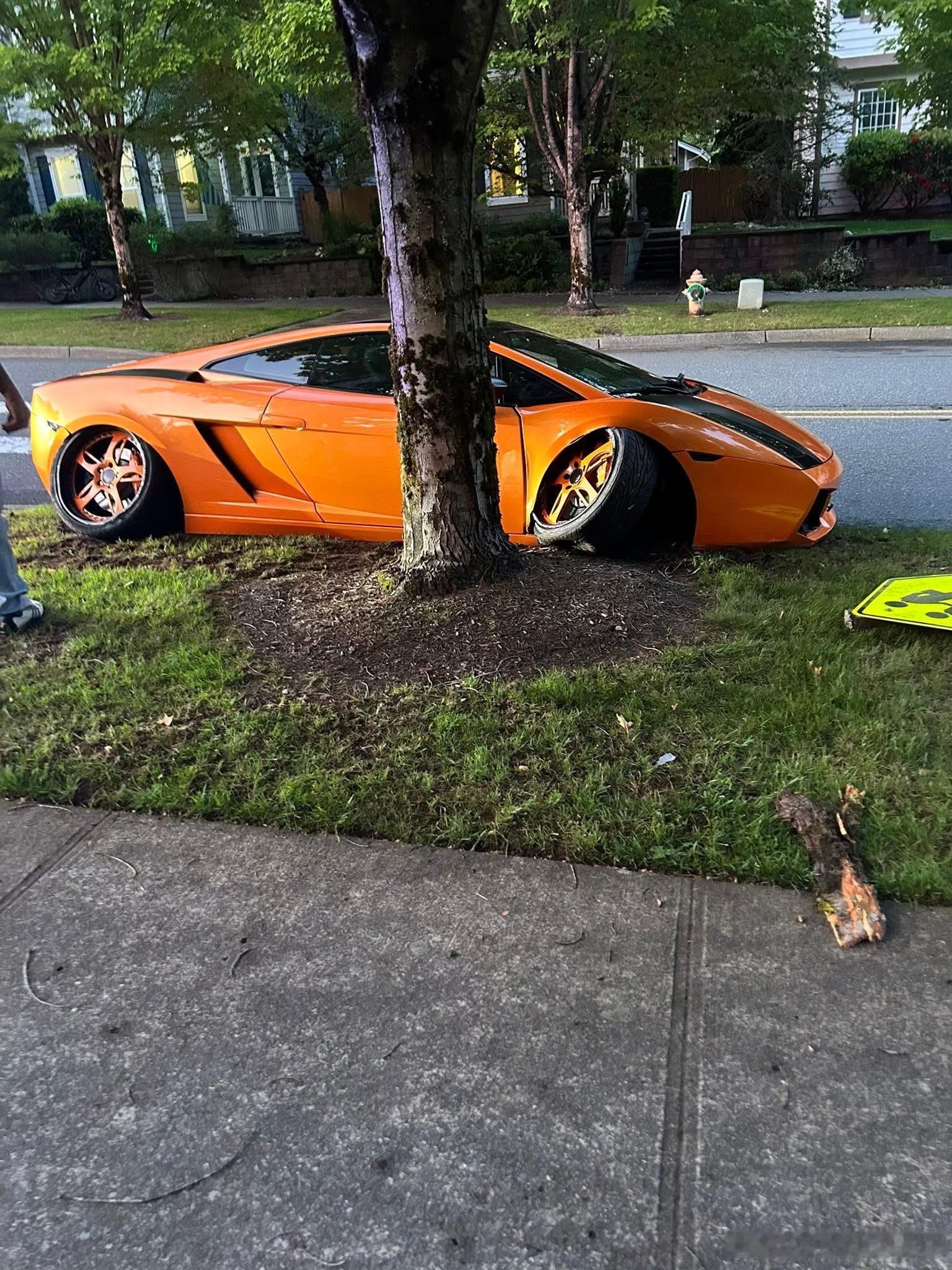 牛牛咋把车停这嘞[doge] ​​​