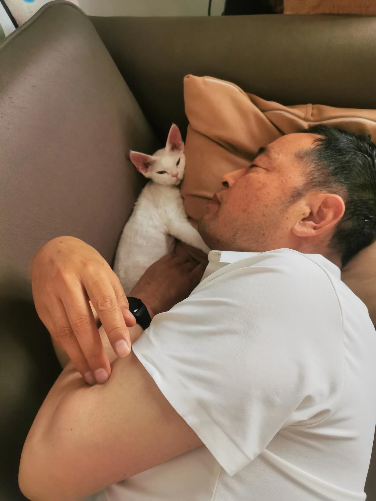 今天我们小妖一岁啦！

去年“六一”，女儿把小妖从西安抱回来，半岁不到，又瘦又小