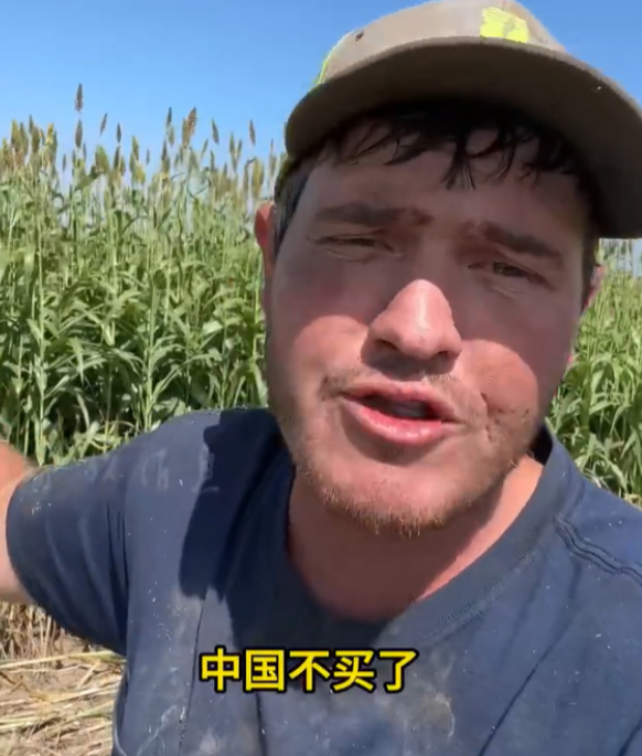 美国农民痛哭流涕，抱怨中方不买大豆只能销毁：现在寄希望于谈判2025年的大豆收获