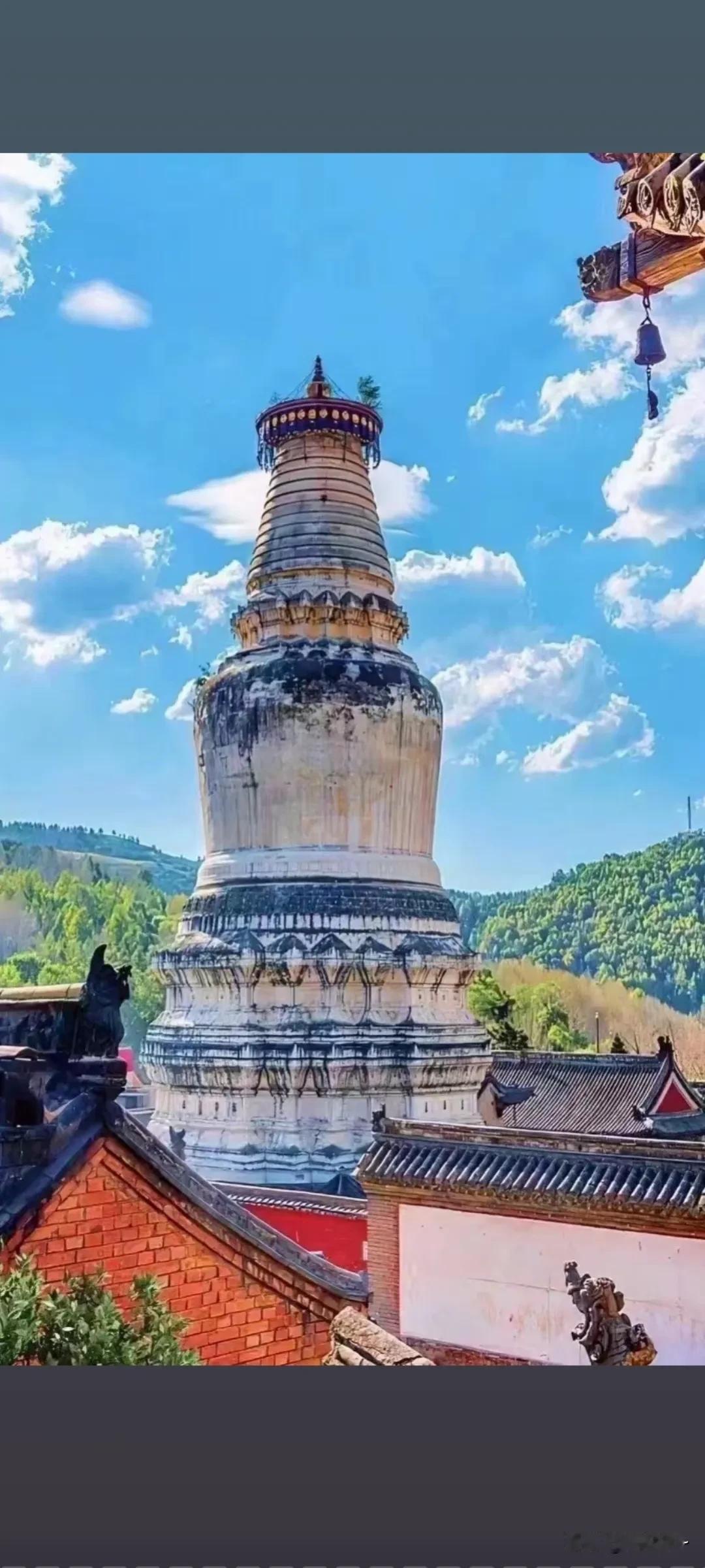 打疫苗自愿，但居委会也通知你，单位也通知你，生怕把咱忘记了，谢谢你们