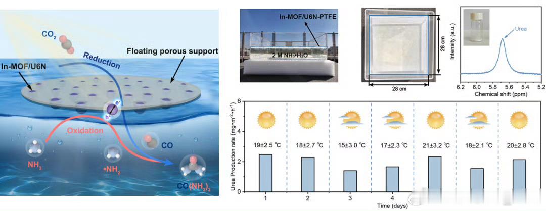 【我国科学家实现直接将空气中的二氧化碳转化为可水相收集的尿素产物】真实环境中二氧