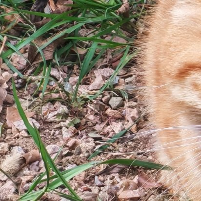 1200 弘扬爱国主义精神，必须坚持立足民族又面向世界。中国的命运与世界的命运紧