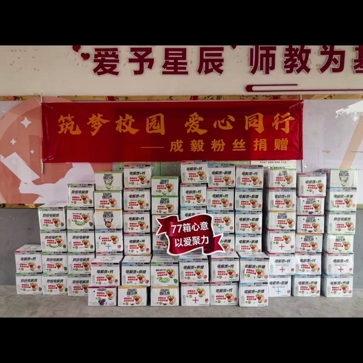 成毅粉丝公益活动