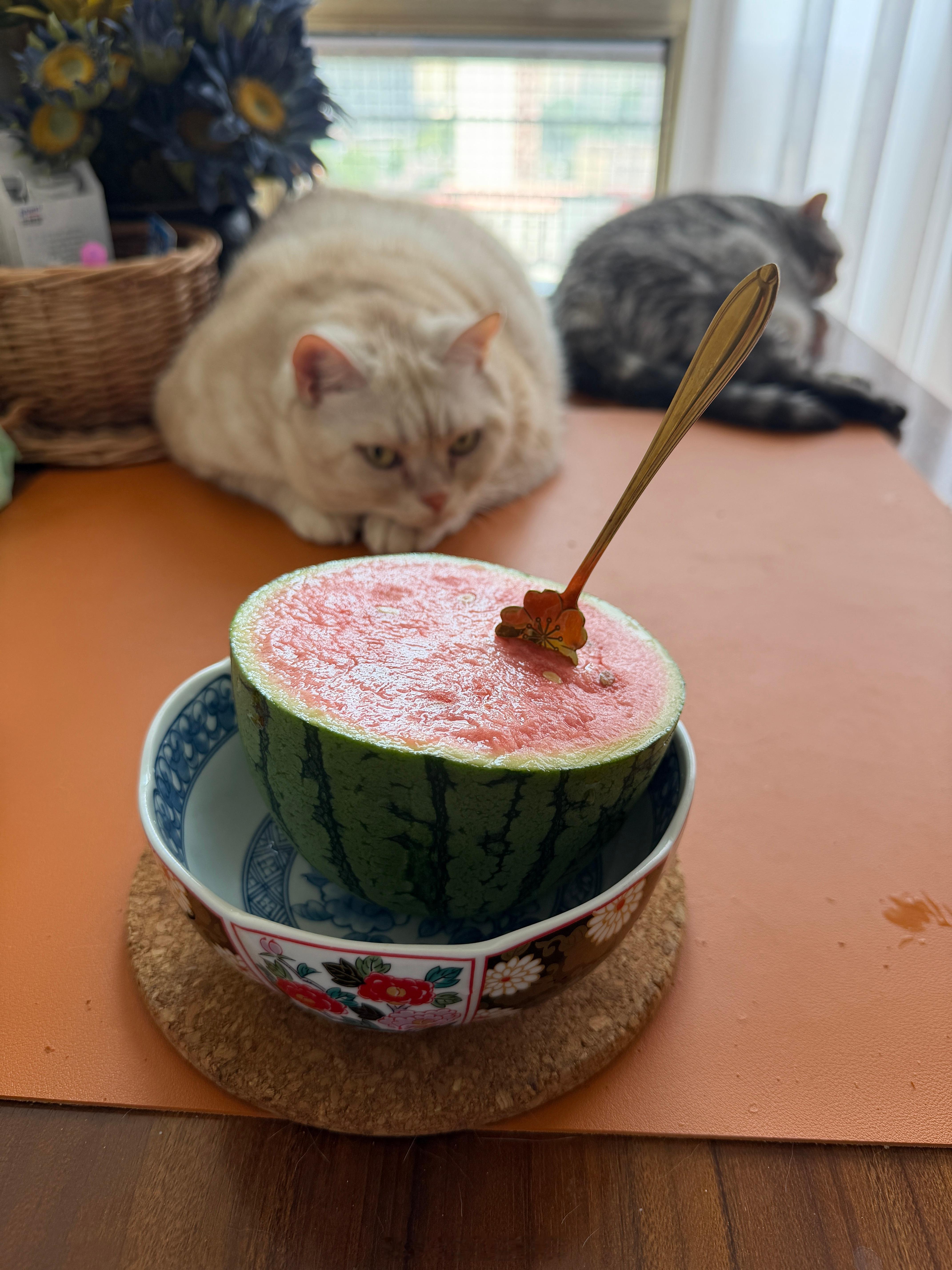 北京碎片 啊夏天 
