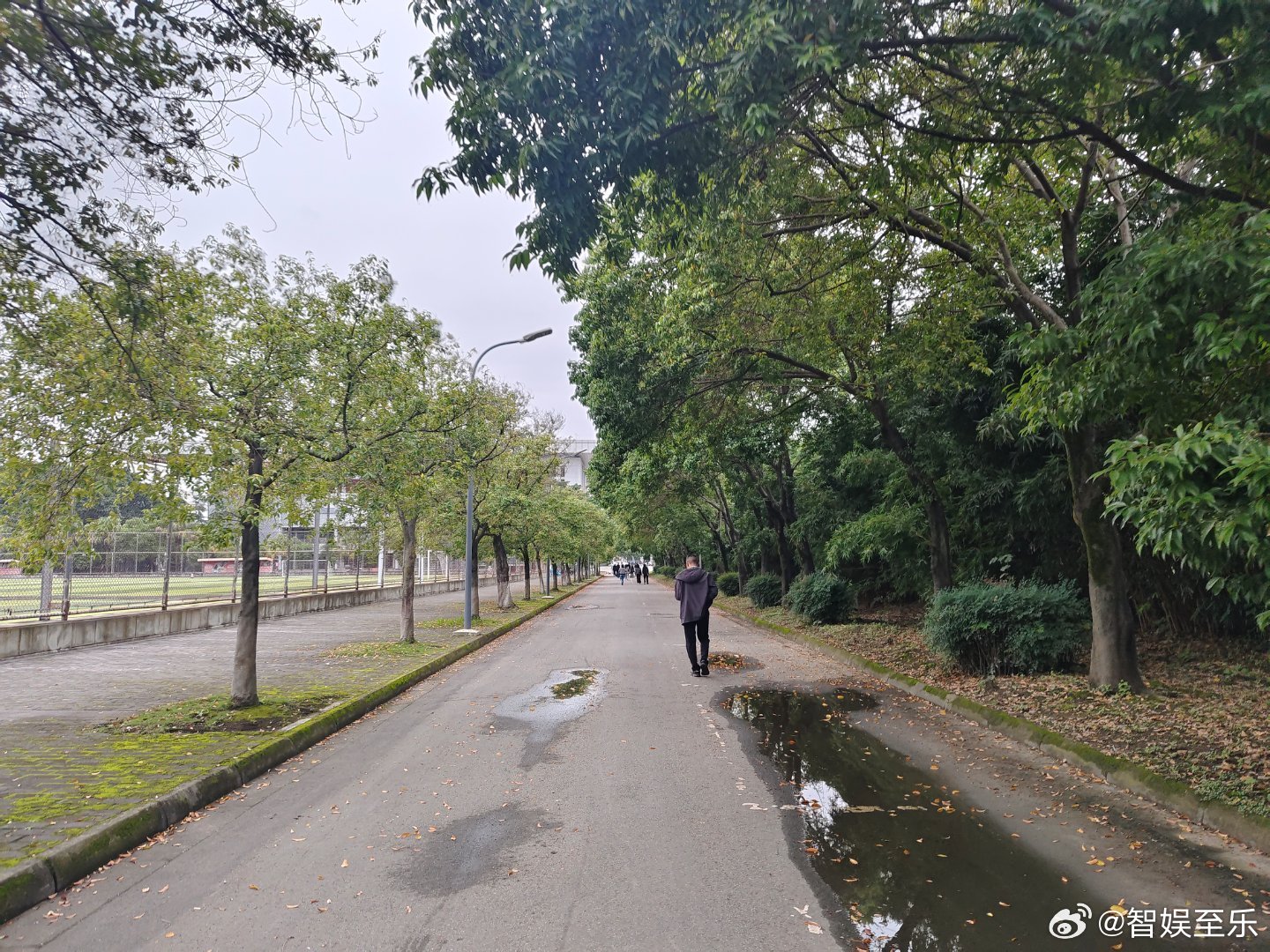 孤独，可以孤独地孤独，也可以喧嚣中孤独。​清晨，偶遇一片叶子坠落，翩翩而下，随风