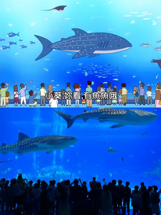 广州出发！！必看珠海长隆攻略！！感受不一样！