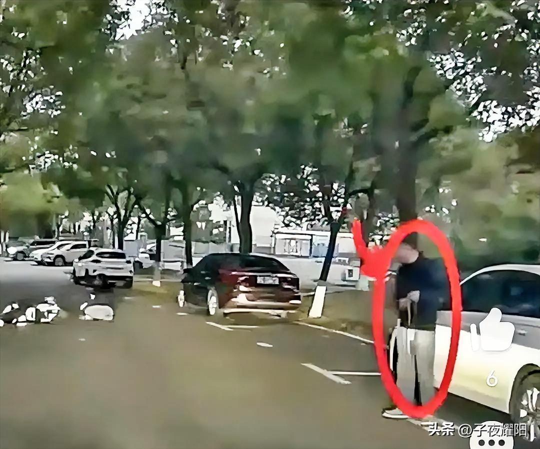 男子遛狗未牵绳，导致宠物横穿马路时将一名直行骑电动车的行人撞翻在地，倒地不起。这