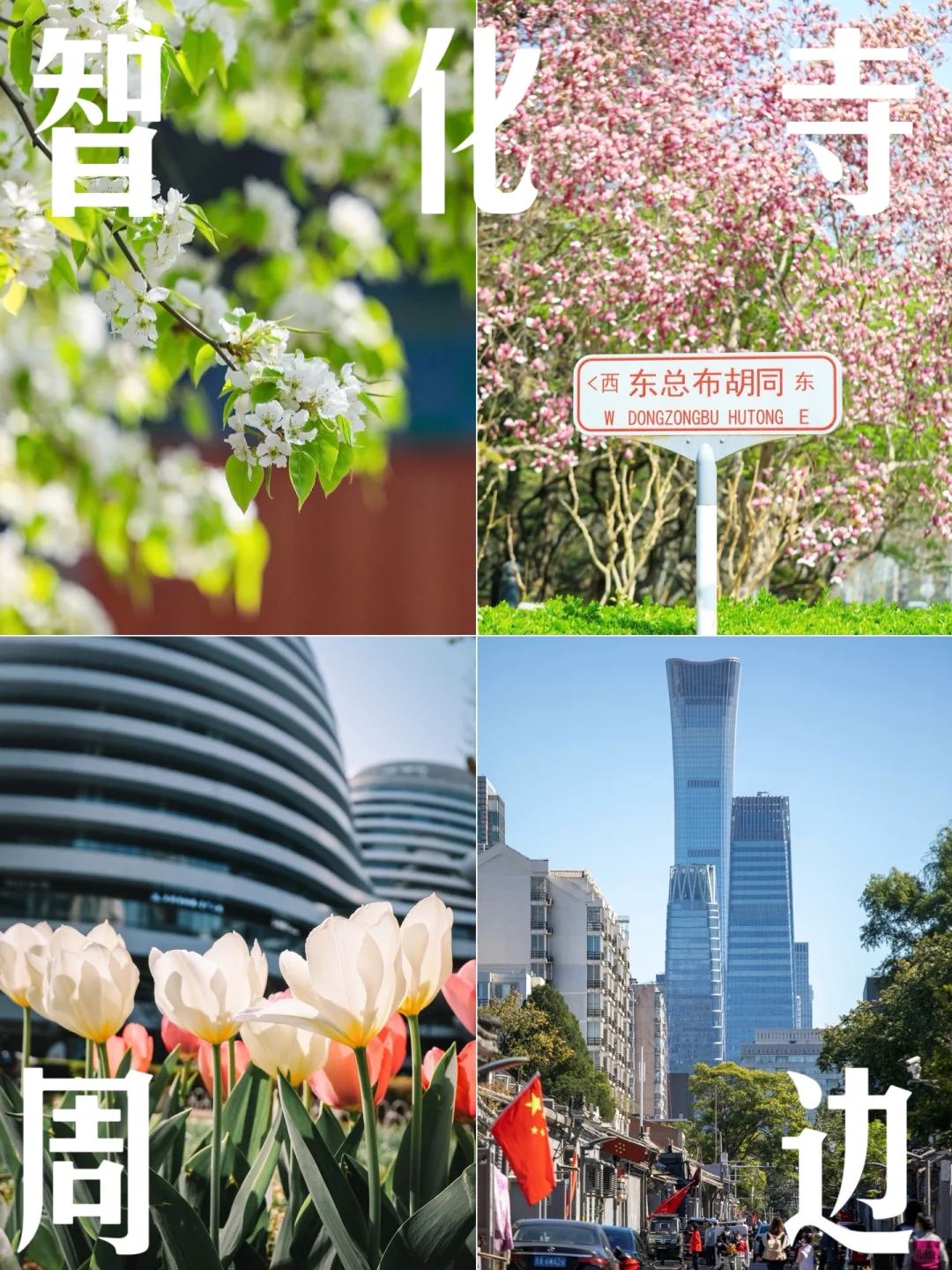 实拍🌸99%人会忽视，智化寺周边竟这么好拍