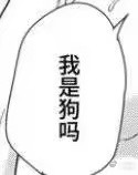狗 