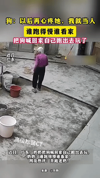 近日广东一院子里上演爆笑一幕，奶奶先是把狗子喊回院子，还跟狗子定下“谁跑得慢谁看