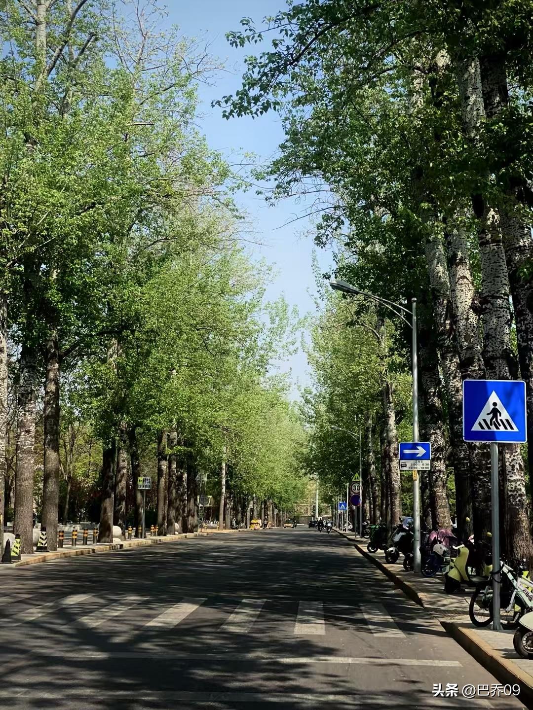 初春暖日染桃枝
初春对昨夜，暖日对清风，桃枝对绿柳。
春日暖阳染红桃枝，色彩明丽