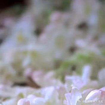 善良是一种修养，善待他人就是善待自己，要想得到别人的爱，首先要学会爱别人，一个善