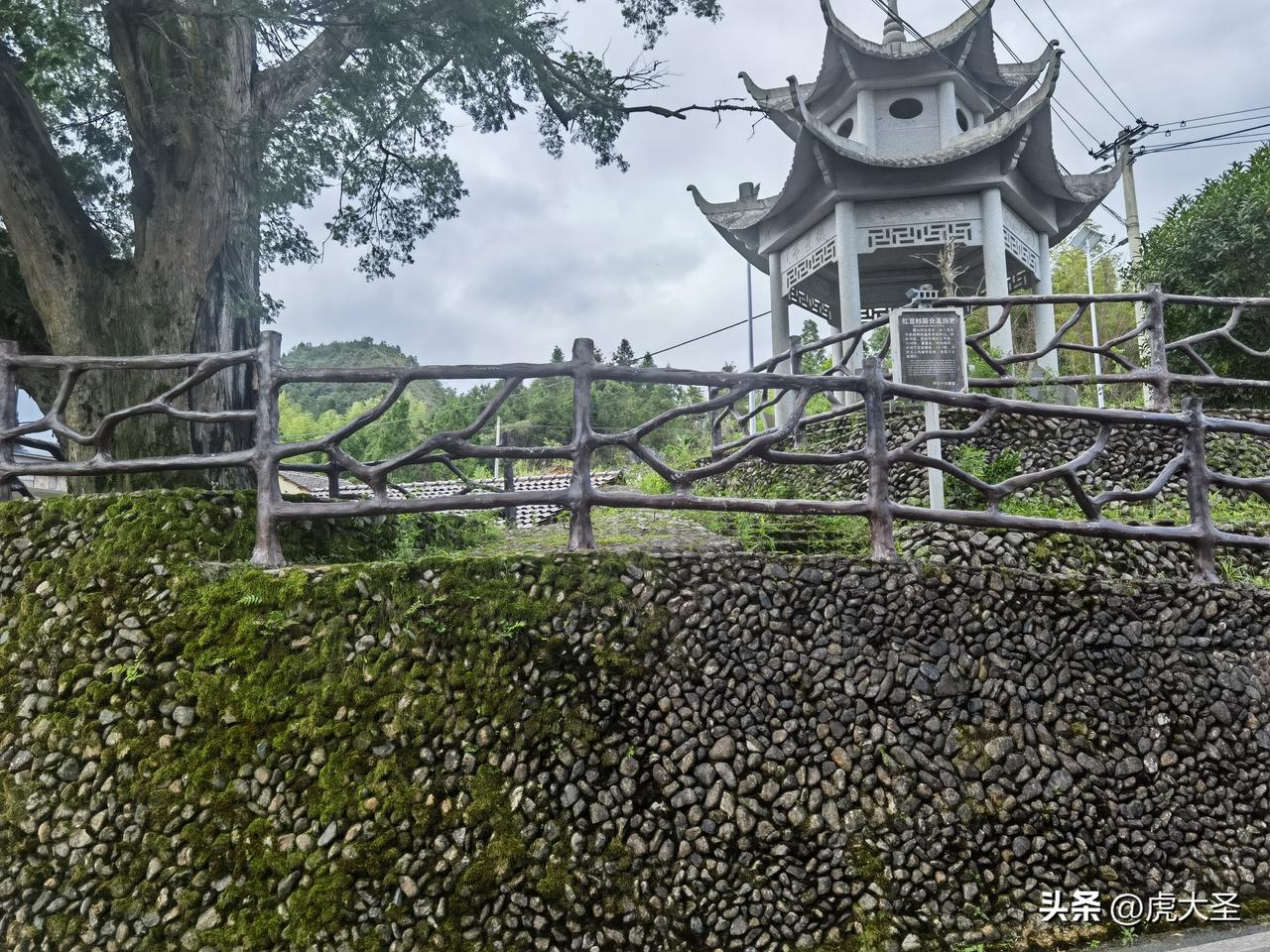 刚蹲在村口老亭边拍的原图，连滤镜都没加，温溪黄山村这画面真的戳人。
小亭檐角还沾