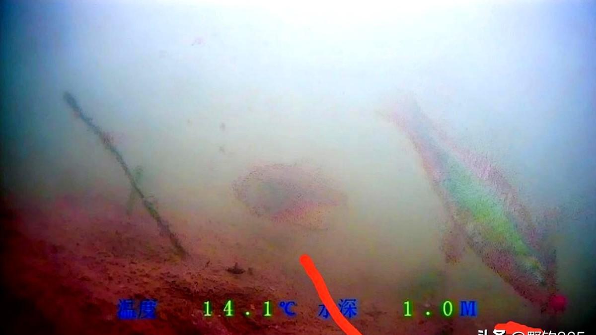 玩泡沫逗钓，提得快放得也快？那你不是在钓鱼，是在喂鱼。

我就是个例子。拿着泡沫