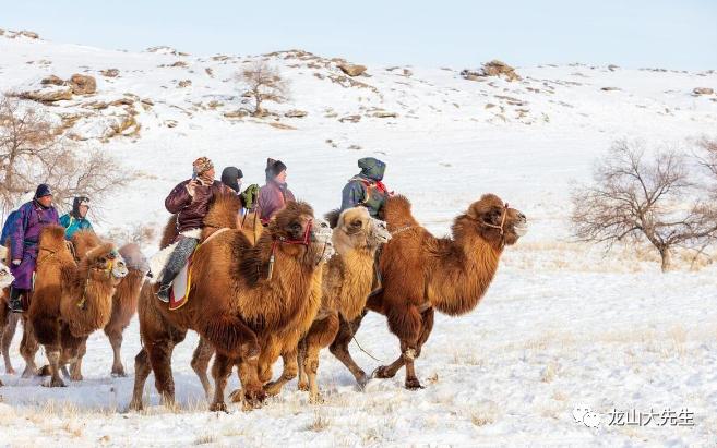 塞北牛羊富庶，
江南烟雨温柔。
横批：《富庶与温柔》
