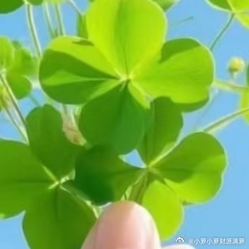 不是生活本身有意思 ，是你热爱它，才有意思。阳光信用 每日一善