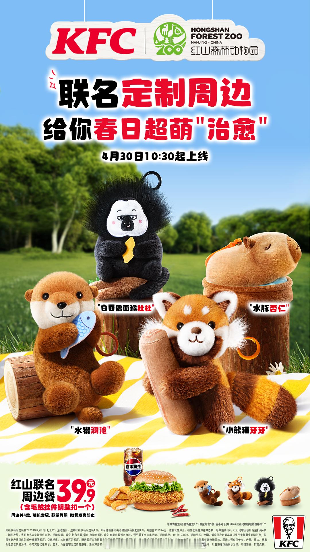 官宣！红山动物园和肯德基送上五一惊喜[憧憬][憧憬]！红山森林动物园和首次联名了