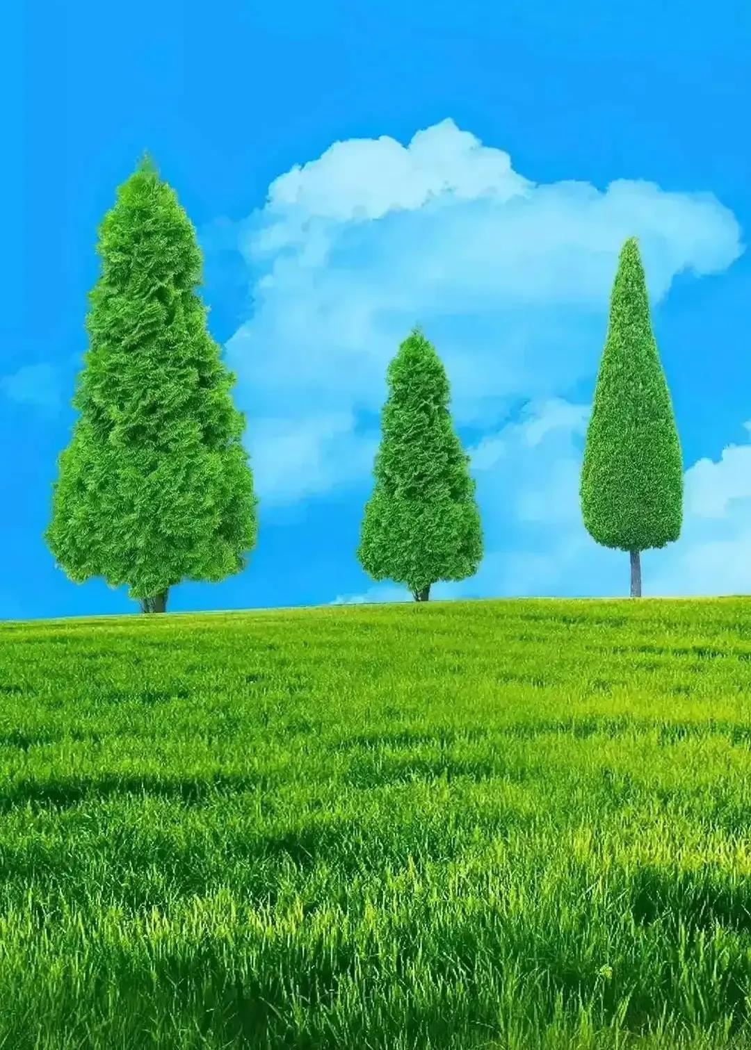 或许美化灵魂有不少途径，但我想，阅读是其中易走的，不昂贵的，不须求助他人的捷径。