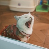 素枝热看生活服务