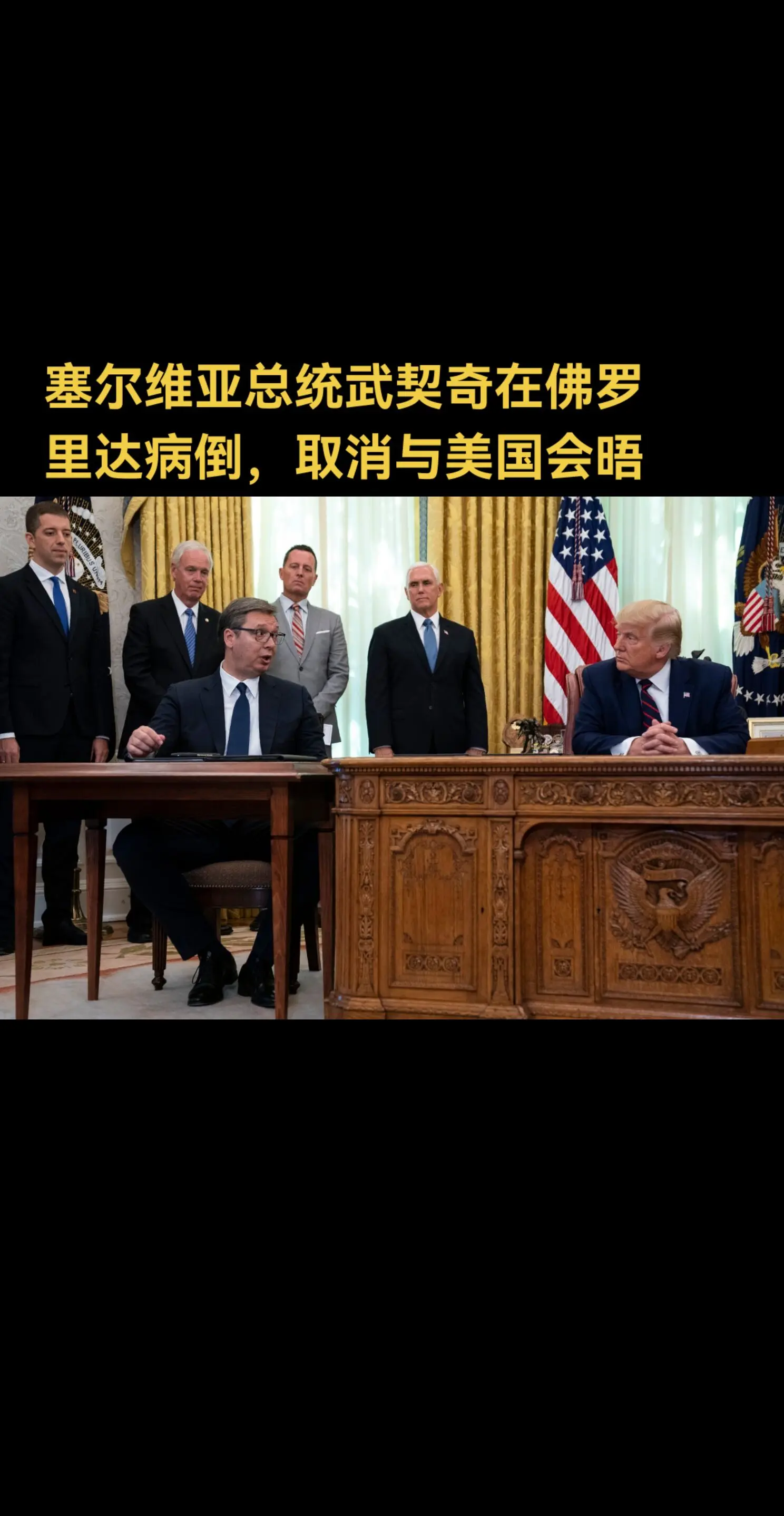 塞尔维亚总统武契奇在佛罗里达病倒，取消与美国会晤  塞尔维亚总统亚历山...