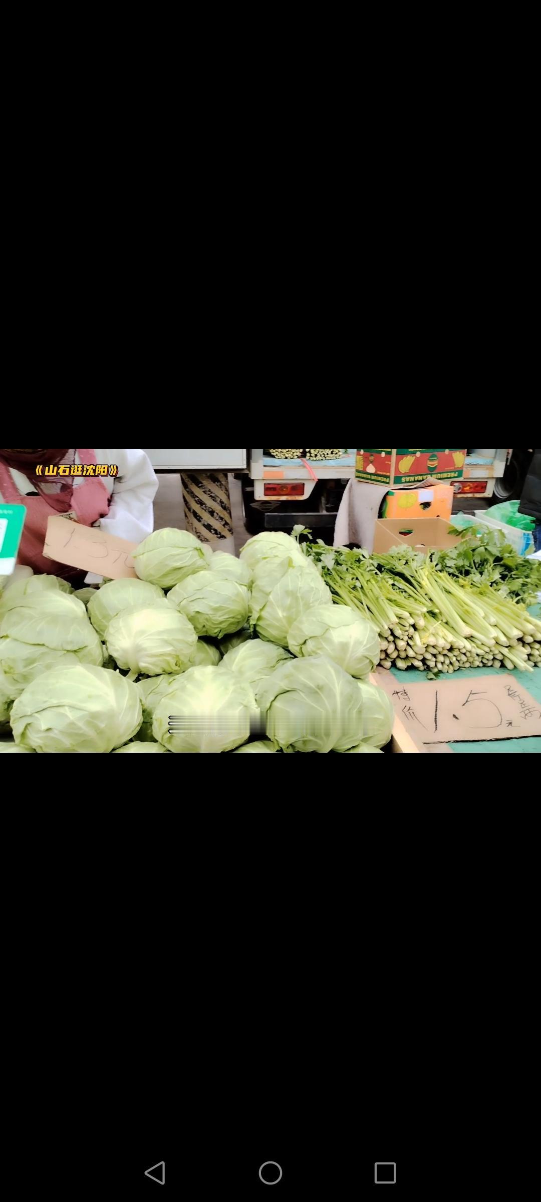 《沈阳早市》
早市在沈阳来说是非常受欢迎的一种购物方式，因为早市的商品及菜价相对