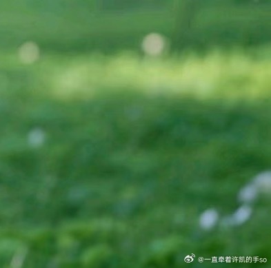 阳光信用  每日一善 不管全世界所有人怎么说，我都认为自己的感受是正确的，无论别