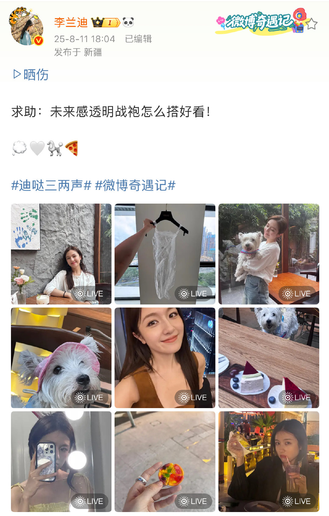李兰迪的战袍含塑料量百分百 李兰迪用梳子簪发 谁被李兰迪的脑洞穿搭戳中了？透明战