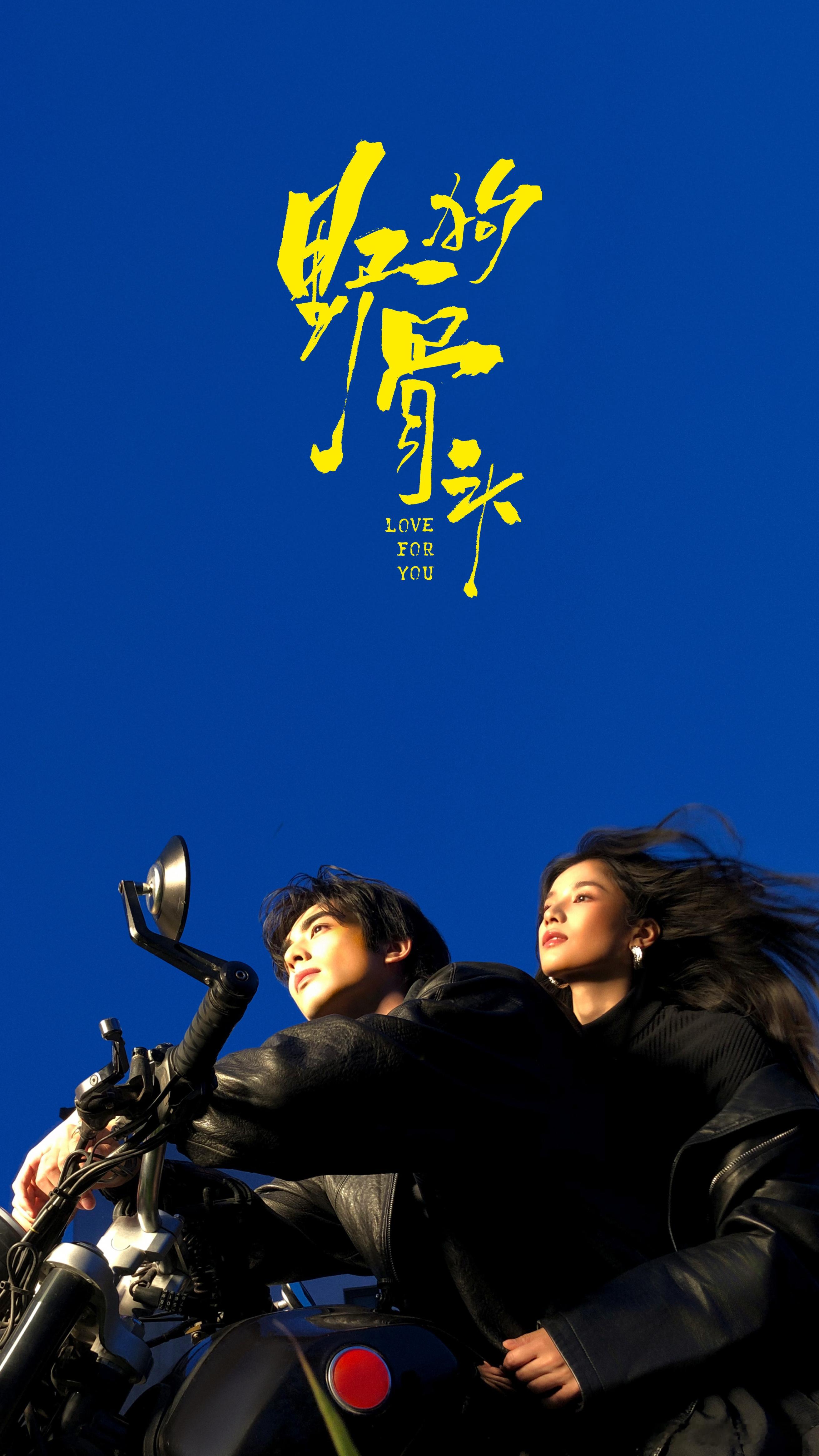 野狗骨头还挺好看的 两位主演颜值好高 而且都很适合这种苦情自强的角色 剧情目前看