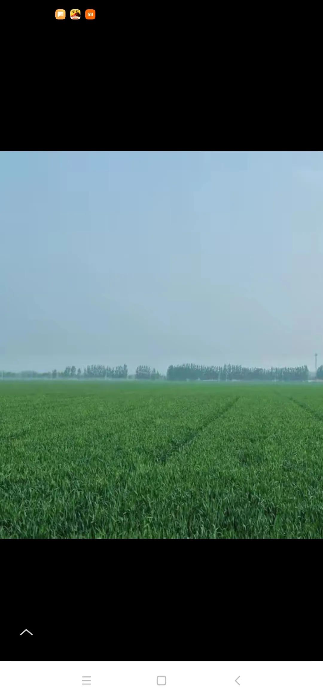 春雨贵如油，
润透田间头。
禾苗得营养，
一片生机象。
盎然吐新绿，
丰收有希望