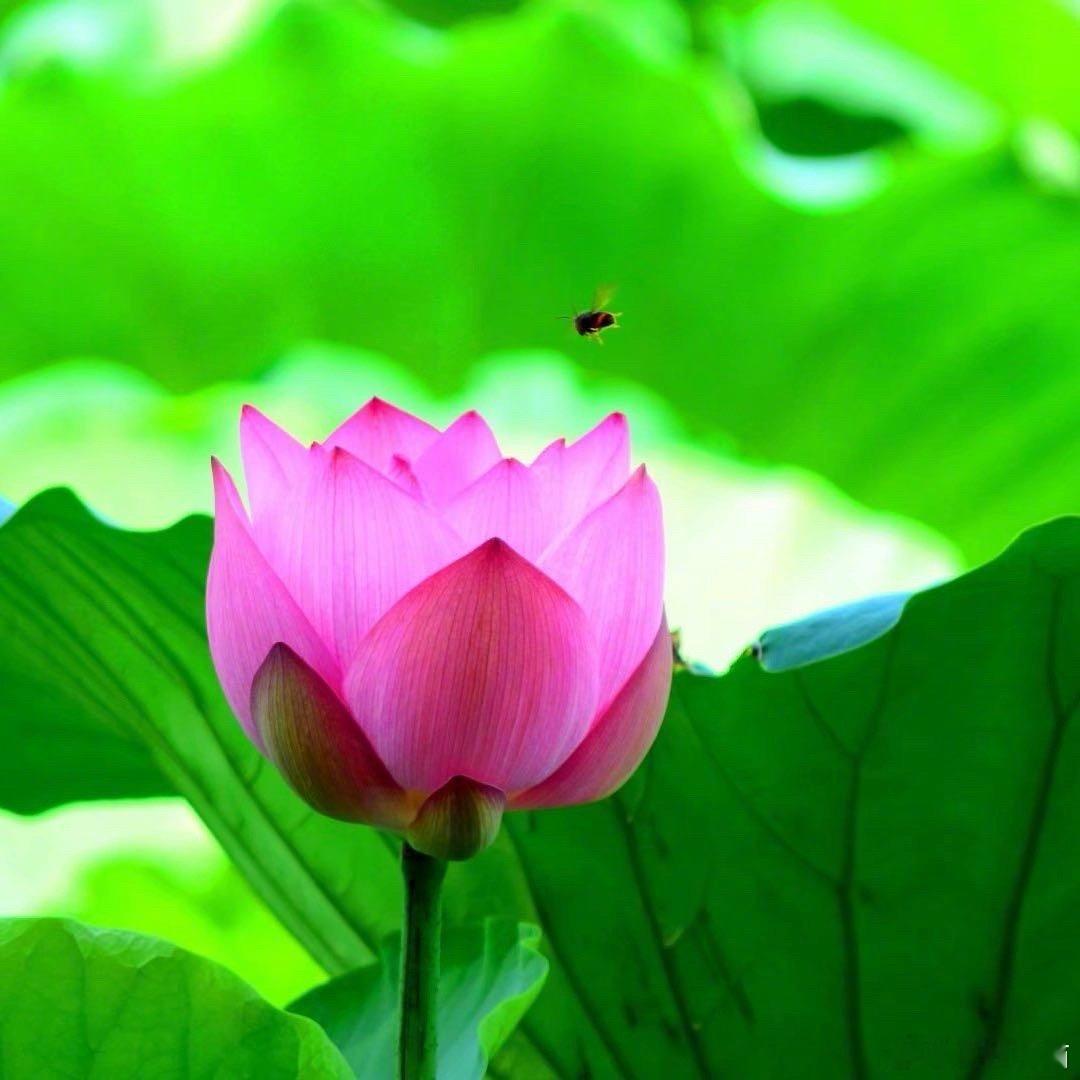 今天晚上，一共有两个朋友给我打电话问一些事情。一个朋友的老婆患了乳腺癌，做了手术