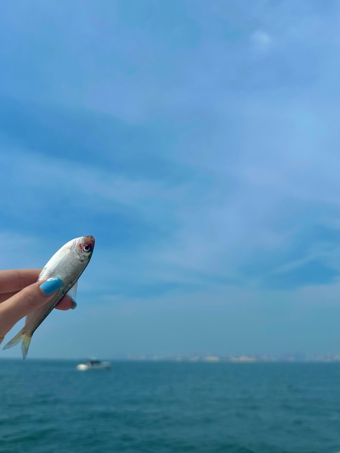 🎣 ​​​