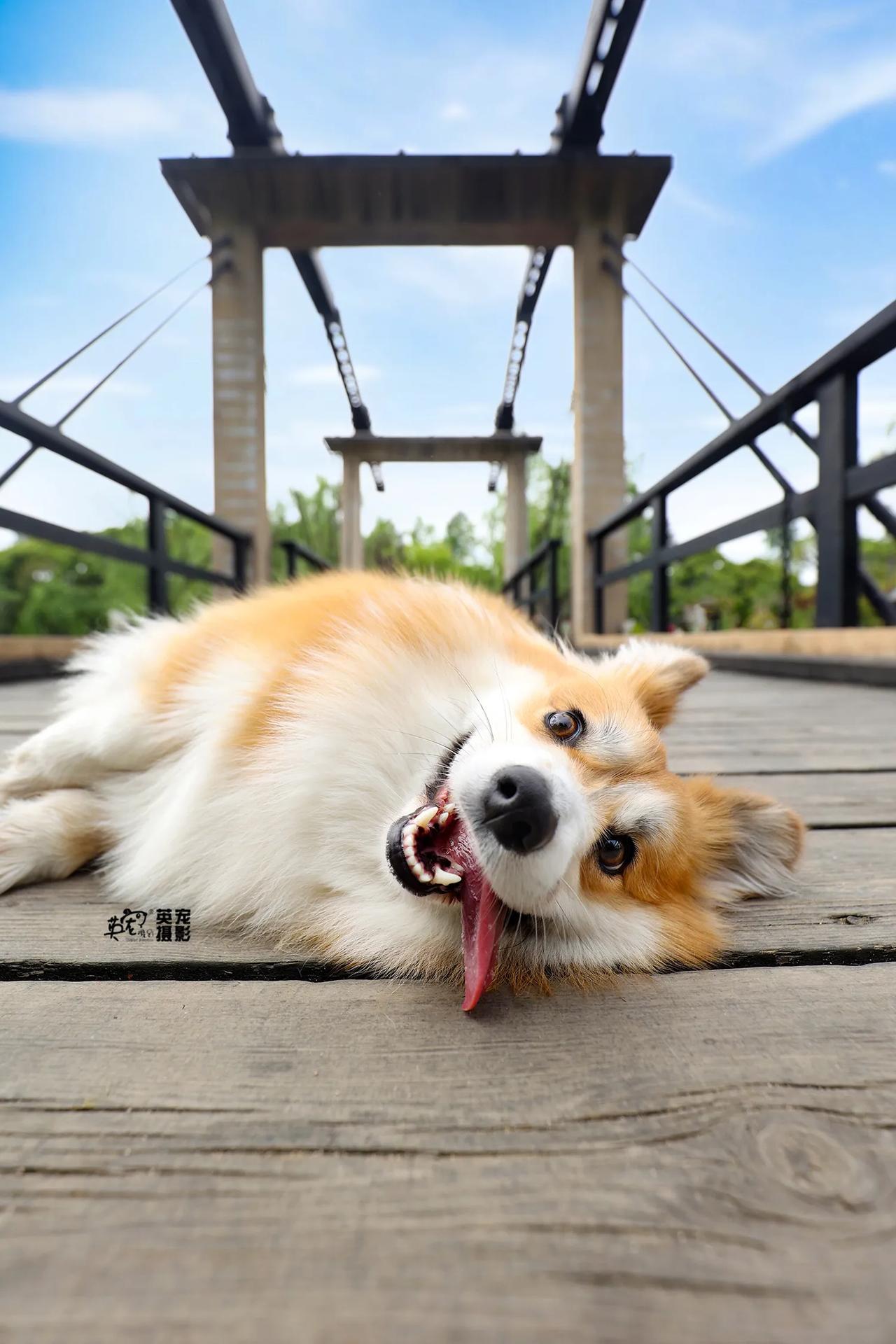 一个叫锅包柚的小朋友
笑的那叫一个开心啊，完全被感染了🤩
【上海拍摄】