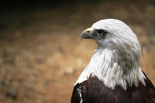 顶级女人必懂的男女关系

顶级女人从不在男女关系里追着爱跑。

她们拎得清：爱不