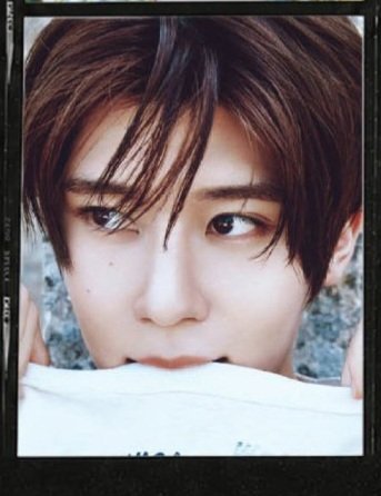 小狗兔 