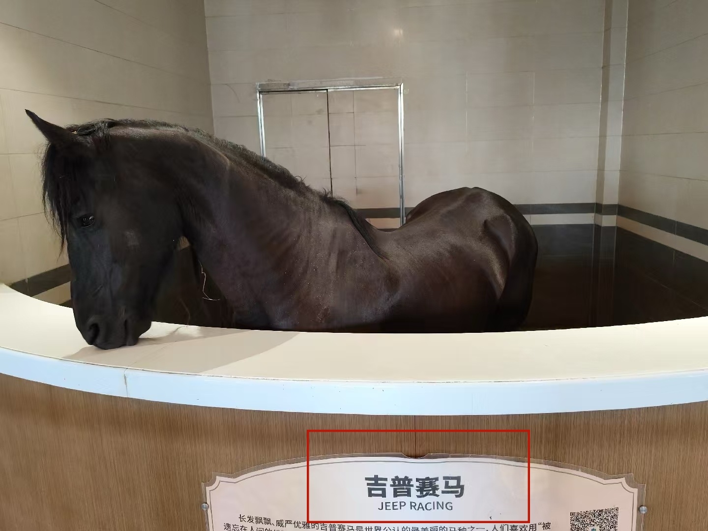 [笑cry] 爆笑翻译大赏  (参考：Gypsy horse） 